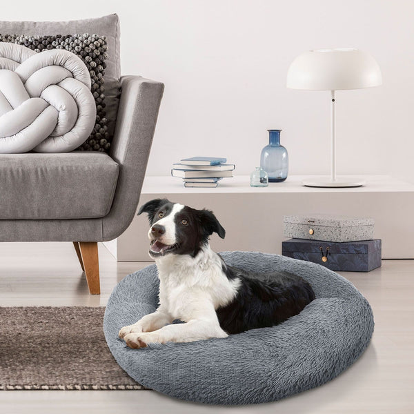 Warum ein Hundebett mehr als nur ein Schlafplatz ist